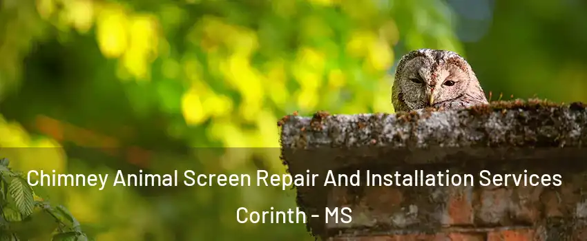  Chimney Animal Screen Repair And Installation Services Corinth - MS
